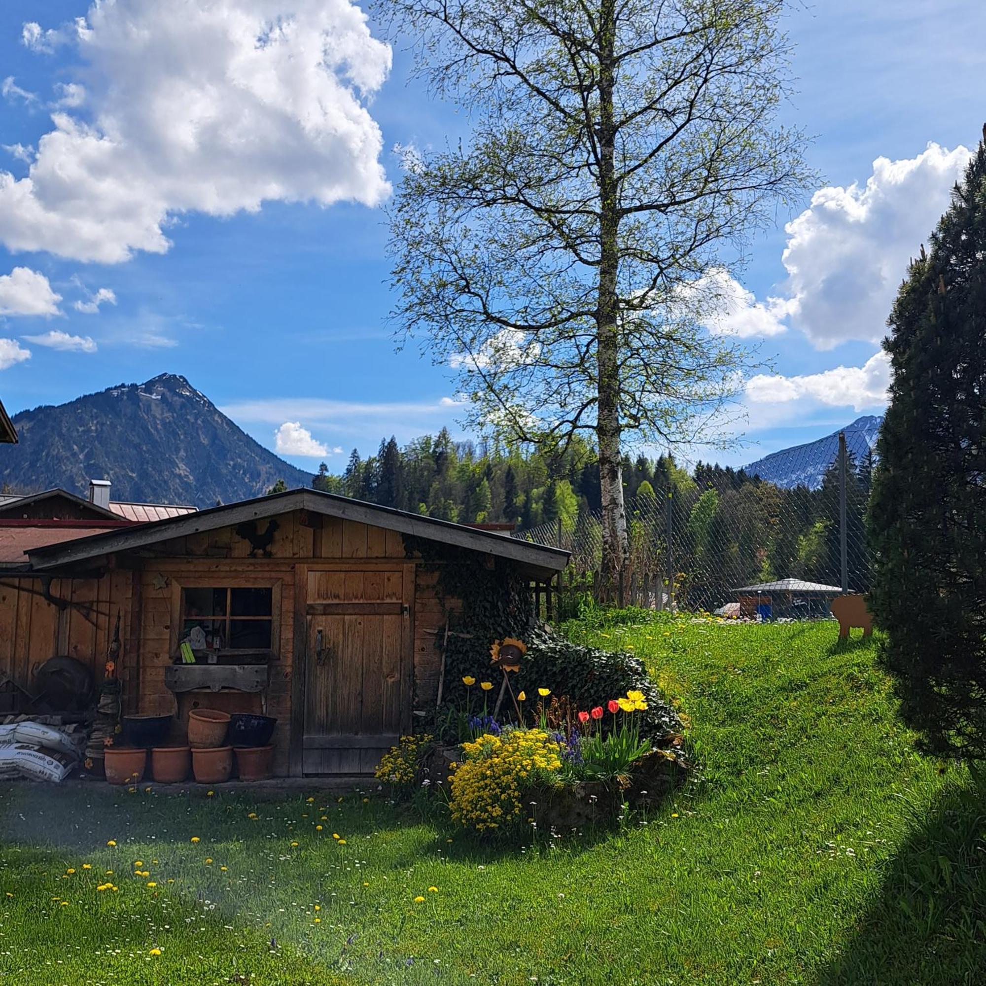Faltenbach Ferienwohnungen In Oberstdorf Luaran gambar